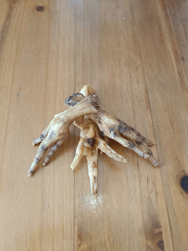 Pattes de poulet 
