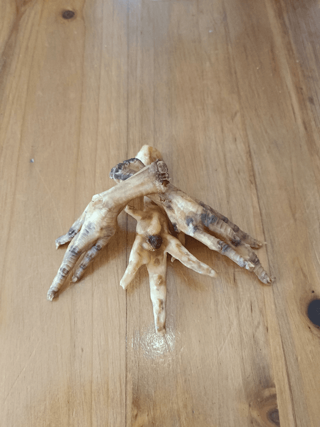 Pattes de poulet 